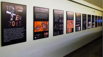 vista de la exposición