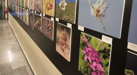 Vista de la exposición