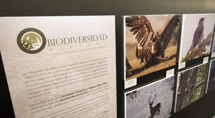 Vista de la exposición