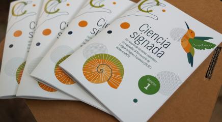 Imagen de la publicación