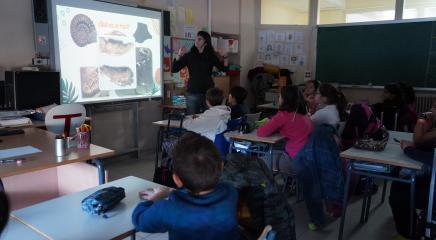 Una de las coordinadoras del proyecto dando una charla en la clase de un colegio