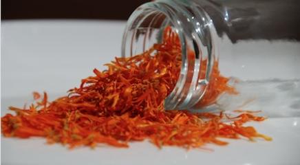 Calendula 
