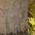 Detalles de los biofilms amarillos que se desarrollan en la superficie de la cueva. /Tamara Martin-Pozas y Elsa Duarte 