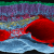 Imagen de la retina de un cetáceo / Grupo de Oftalmo-Biología Experimental de la Universidad  del País Vasco
