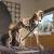 Fosil del megaterio, Megatherium americanum, que se exhibe en la exposición permanente del MNCN-CSIC. / José María Cazcarra