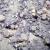Photo of a North Atlantic sponge ground of Geodia hentscheli below 2,000 meters deep. Paco Cárdenas