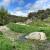 La zona de piedemonte de la sierra de Guadarrama presenta comunidades de anfibios diversas y con poblaciones bien interconectada