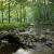 Río Esva, Asturias. / Xiomara Cantera (MNCN-CSIC) 