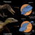 Reconstrucción artística de un pterosaurio (arriba) y un lagerpetido (abajo) / Matheus Fernandes