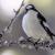 macho de papamoscas cerrojillo, Ficedula hypoleuca. / David Ochoa.