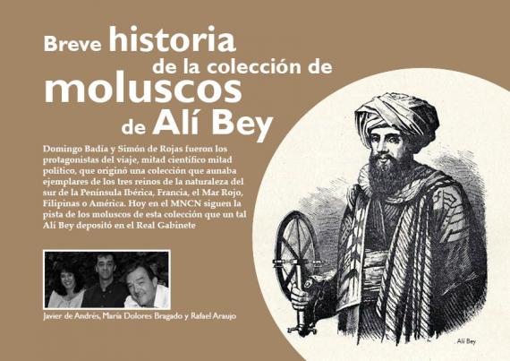 Portada del artículo Breve historia de la colección de moluscos de Alí Bey de NaturalMente 06