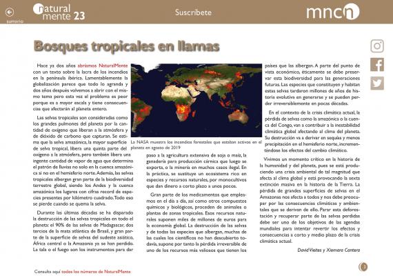 Bosques tropicales en llamas