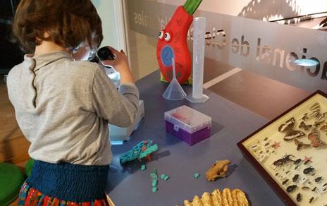 El MNCN se vuelca con la celebración del Día Internacional de la Mujer y la Niña en la Ciencia