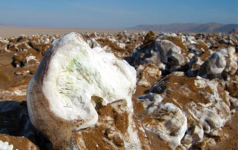 Investigadores del MNCN descubren la presencia de microalgas en el desierto de Atacama Investigadores del MNCN descubren la presencia de microalgas en el desierto de Atacama