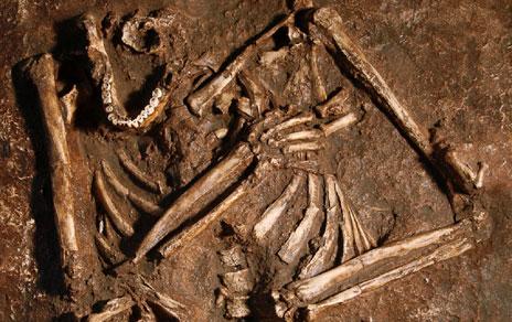 La reconstrucción de un tórax neandertal sugiere que esta especie tenía una mecánica respiratoria distinta La reconstrucción de un tórax neandertal sugiere que esta especie tenía una mecánica respiratoria distinta