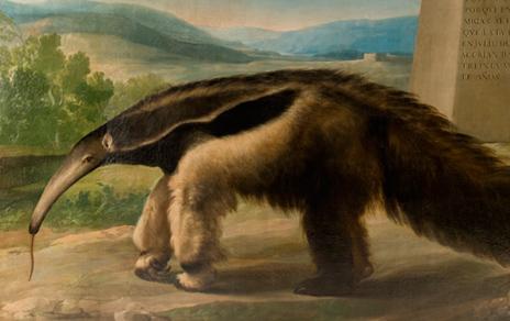 El MNCN exhibe en Second Canvas MNCN una selección de obras en altísima resolución El MNCN exhibe en Second Canvas MNCN una selección de obras en altísima resolución