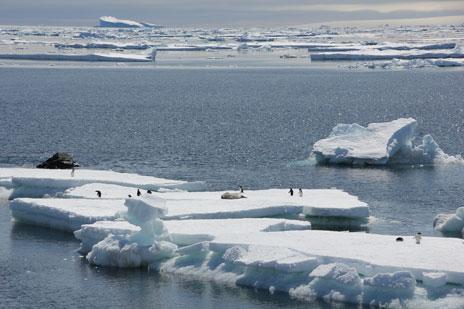 La tibieza del lenguaje del IPCC puede retrasar la acción política contra el cambio climático La tibieza del lenguaje del IPCC puede retrasar la acción política contra el cambio climático
