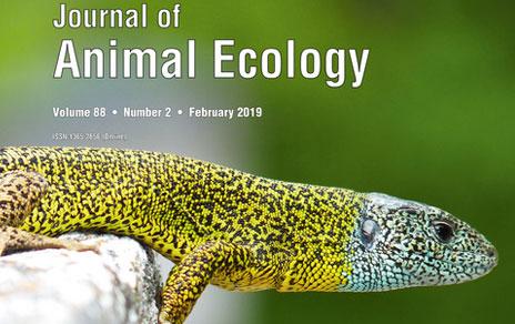 La tolerancia térmica de las especies es un factor clave para determinar su futura distribución ante el cambio climático La tolerancia térmica de las especies es un factor clave para determinar su futura distribución ante el cambio climático
