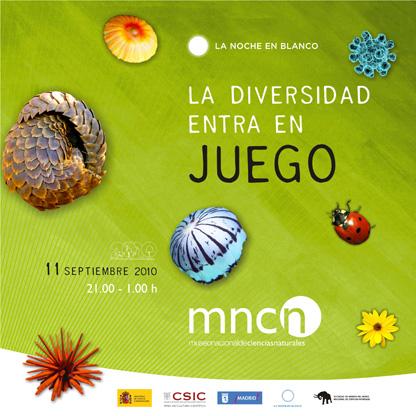 Noche en Blanco 2010 La diversidad entra en juego Noche en Blanco 2010 La diversidad entra en juego