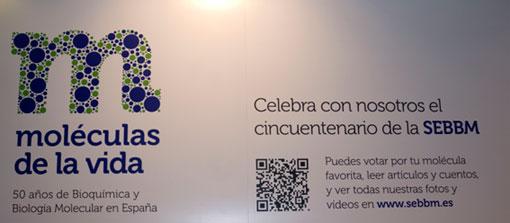 Moléculas de la vida.