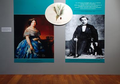 Finaliza la exposición temporal Mariano de la Paz Graells 1809-1898. La aplicación de la Ciencia Finaliza la exposición temporal Mariano de la Paz Graells 1809-1898. La aplicación de la Ciencia