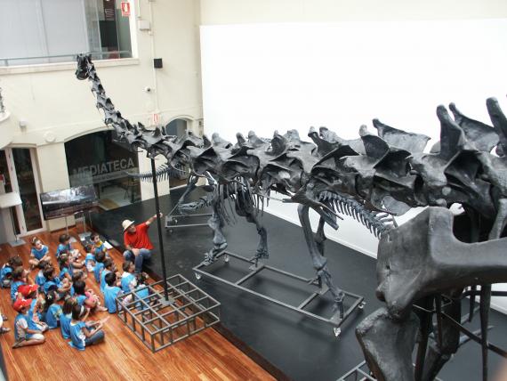 Reserva tu plaza en el Museo de Verano 2011 Reserva tu plaza en el Museo de Verano 2011