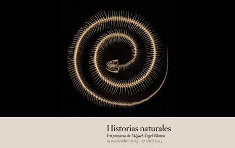 El MNCN colaborador especial de la exposición Historias Naturales. Un proyecto de Miguel Ángel Blanco del Museo del Prado El MNCN colaborador especial de la exposición Historias Naturales. Un proyecto de Miguel Ángel Blanco del Museo del Prado