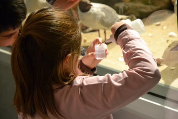 La vista y el oído centrarán las actividades del MNCN en la Semana de la Ciencia y la Tecnología La vista y el oído centrarán las actividades del MNCN en la Semana de la Ciencia y la Tecnología
