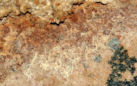 Investigadores del MNCN alertan del deterioro de La Tumba Circular de Carmona