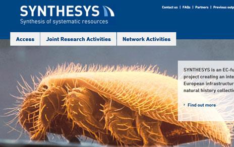 El Real Jardín Botánico y el Museo Nacional de Ciencias Naturales abren la convocatoria de becas SYNTHESYS 2015