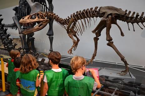 Comienza el verano en el campamento del MNCN