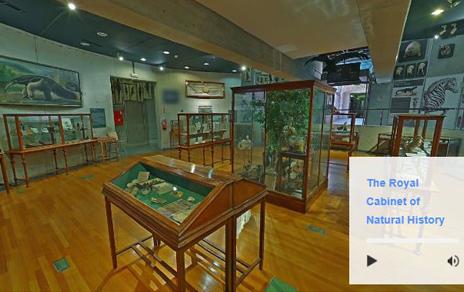 Descubre las piezas más emblemáticas del MNCN a través de Google Arts Culture Descubre las piezas más emblemáticas del MNCN a través de Google Arts Culture