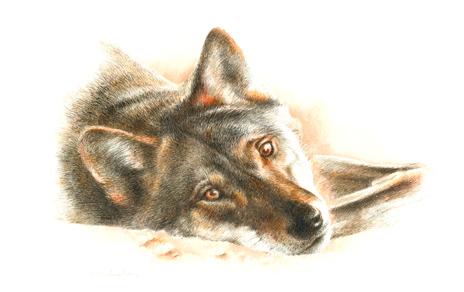 Una de las obras de la serie Lobo ibérico / Nacho Zubelzu