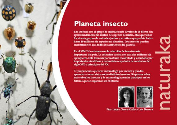 Naturaka. Planeta insecto 