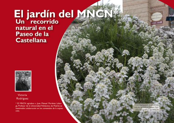 El jardín del museo 