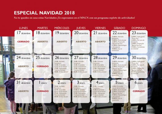 Especial navidad 