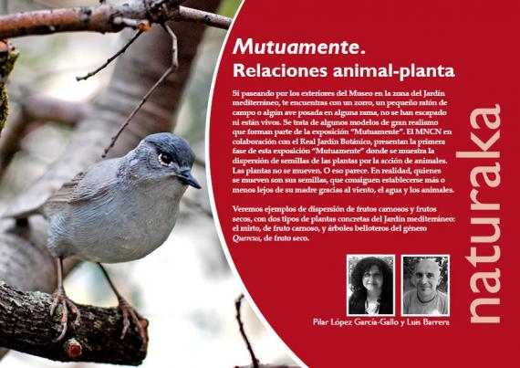 Naturaka. Mutuamente