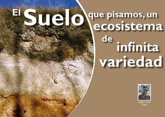 Portada del artículo "El suelo que pisamos, un ecosistema de infinita variedad" de la revista NaturalMente nº 5