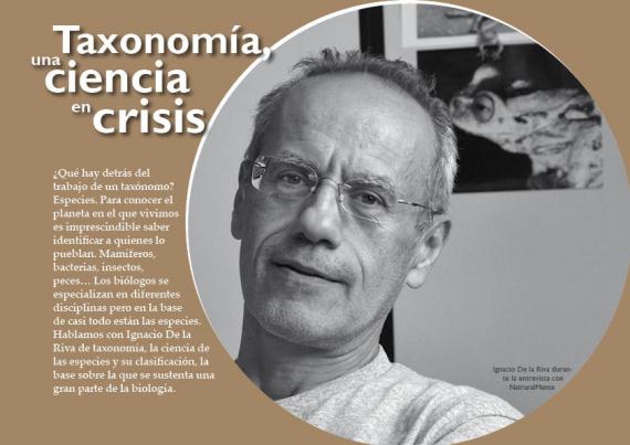 Portada artículo