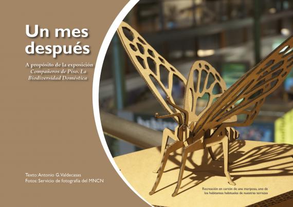Portada artículo