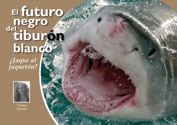 Portada artículo