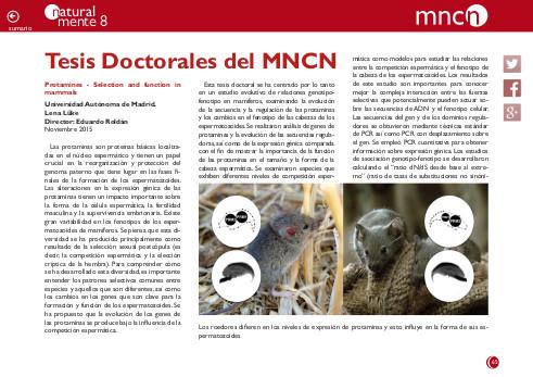 Portada de la sección "Tesis doctorales" de la revista NaturalMente nº 8