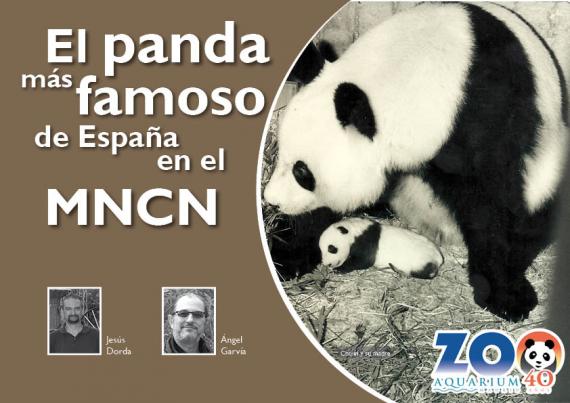 Portada del artículo "El panda más famoso de España en el MNCN" de la revista NaturalMente nº 8