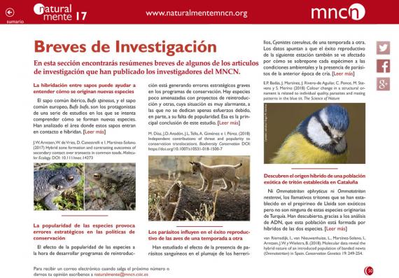 Breves nm17