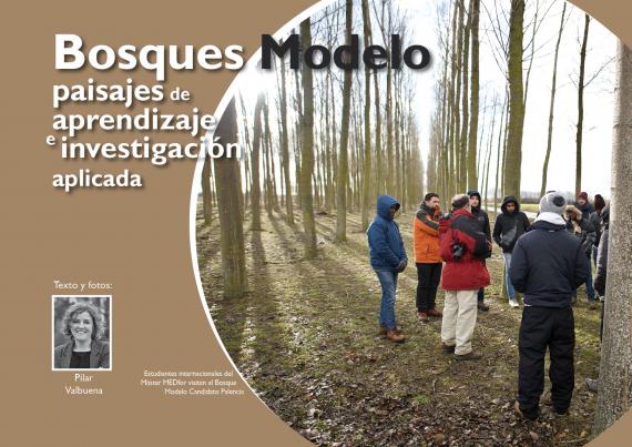 Bosques modelo
