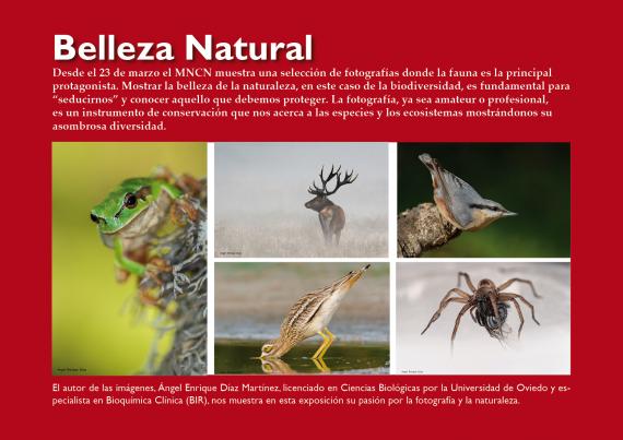 Belleza natural