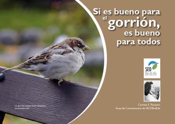 Portada del artículo "Si es bueno para el gorrión, es bueno para todos" de la revista NaturalMente nº 12