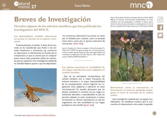 Breves nm27
