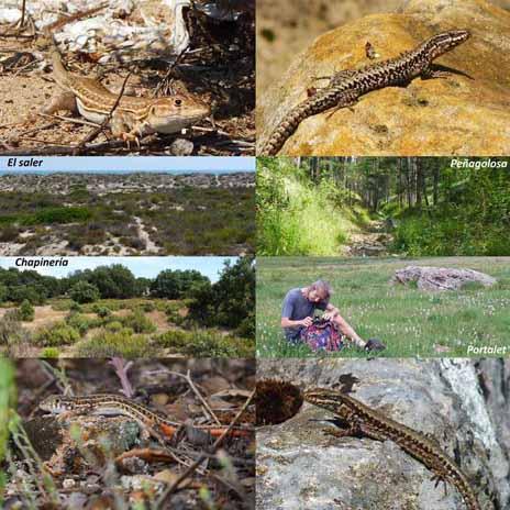 Composición de imágenes de ejemplares estudiados y de sus lugares de captura