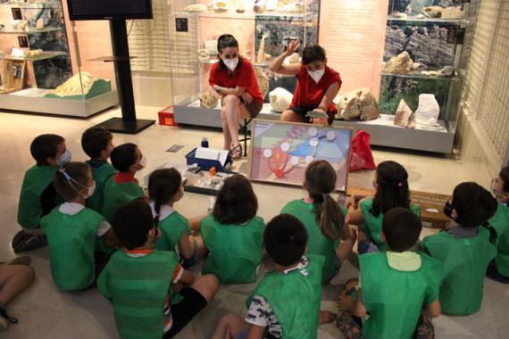 Actividades en el MNCN